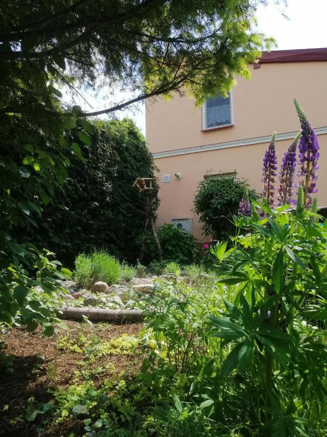 Mv Apartamenty Komfort Augustów Exteriör bild