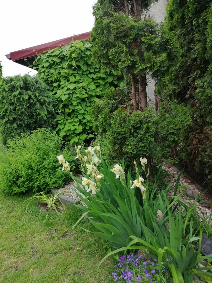 Mv Apartamenty Komfort Augustów Exteriör bild